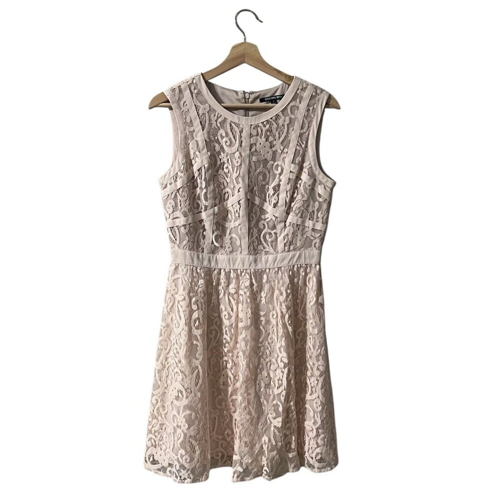 Gianni Bini Dress Size 6 Lace Overlay Shell Blush Pink Fit N' Flare Sleeveless